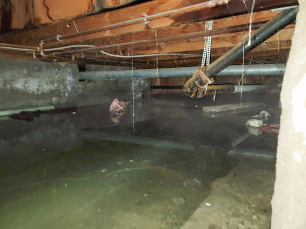 Best Commercial water damage restoration  in Kansas City, MO