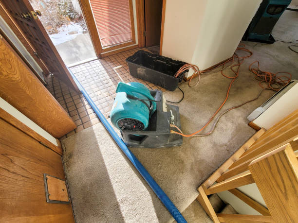 Best Flood restoration services  in Kansas City, MO