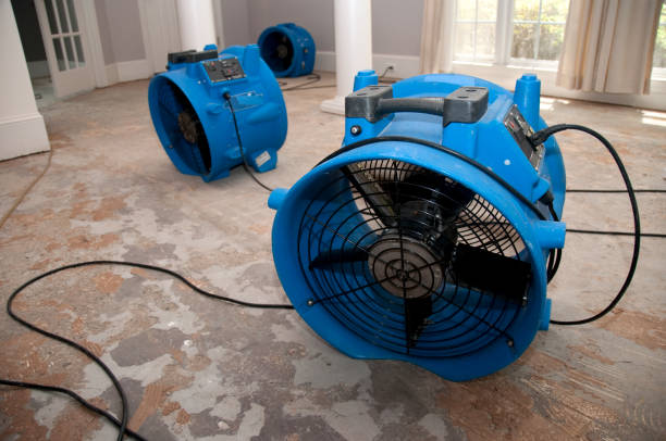 Best 24/7 water damage repair  in Kansas City, MO