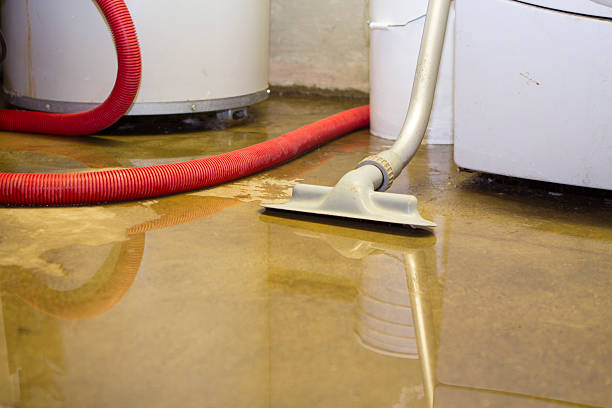 Best Sewage cleanup and water damage restoration  in Kansas City, MO